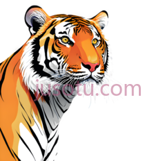 老虎,插画,橙色,黑色,白色PNG