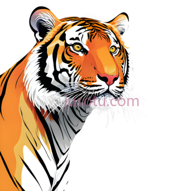 老虎,插画,橙色,黑色,白色, PNG