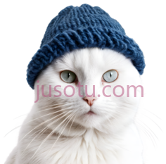 猫,戴蓝色针织帽,白色PNG