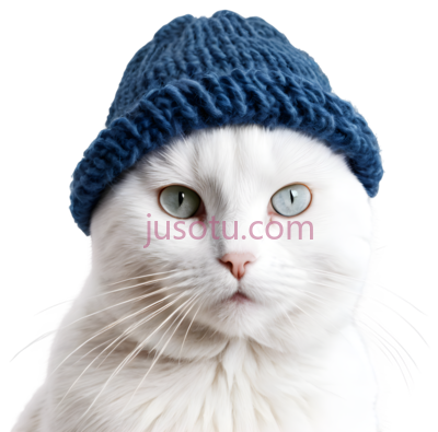 猫,戴蓝色针织帽,白色, PNG