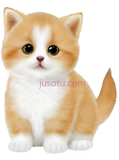 宠物猫, PNG