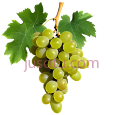 葡萄,绿色PNG