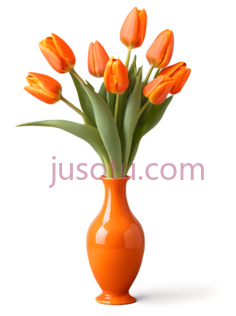 郁金香,橙色PNG