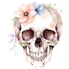 骷髅,水彩画,白色,粉色,蓝色PNG