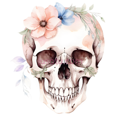 骷髅,水彩画,白色,粉色,蓝色, PNG