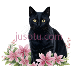 猫,插画,黑色PNG