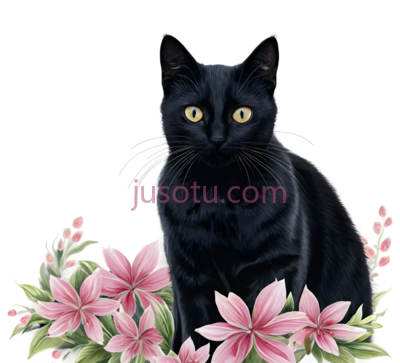 猫,插画,黑色, PNG