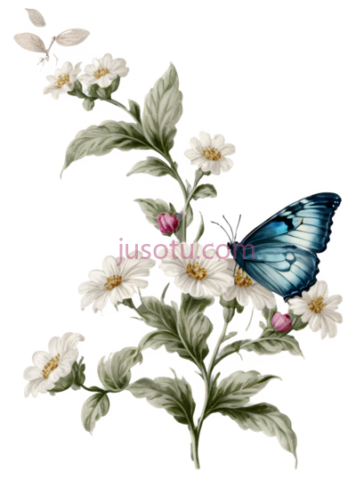蝴蝶,花,叶子,插画,蓝色,白色,绿色, PNG