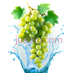 葡萄,绿色PNG