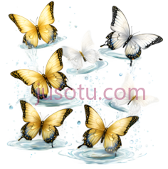 蝴蝶,插画,黄色,白色PNG