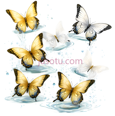 蝴蝶,插画,黄色,白色, PNG