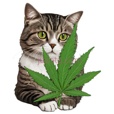 可爱,猫,大麻叶, PNG