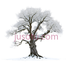 树,白色PNG