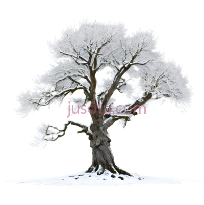 树,白色, PNG
