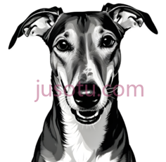 狗,插画,黑白PNG