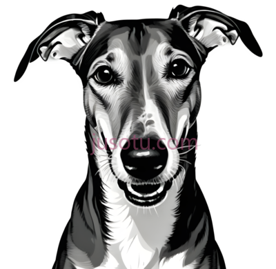 狗,插画,黑白, PNG