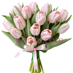 郁金香花束,优雅,粉色PNG