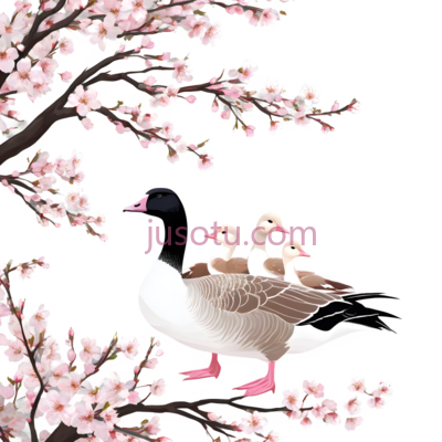 鹅,插画,白色,棕色,粉色, PNG