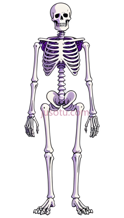 人体骨骼,卡通,白色, PNG