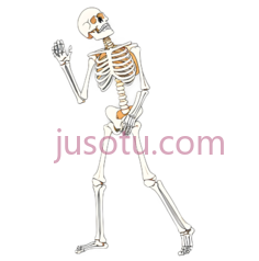 骨骼,卡通,白色PNG