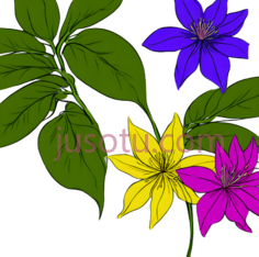 花朵,插画,黄色,紫色,粉色PNG