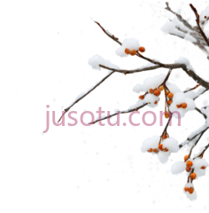树枝,冬季,白色,橙色PNG