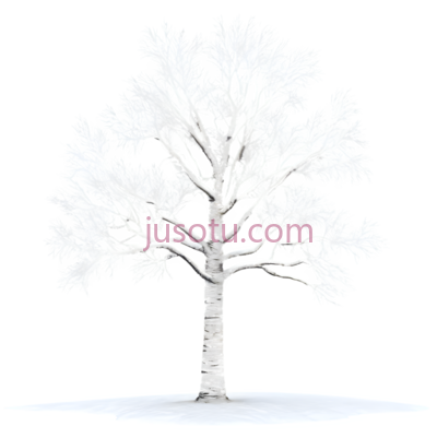 树,白色线条画,白色, PNG