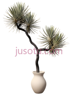 花瓶,树,盆景PNG