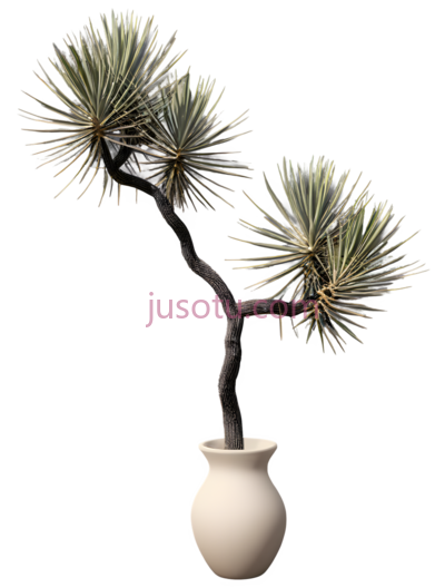 花瓶,树,盆景, PNG