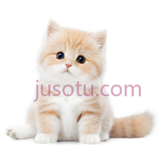 级可爱宠物PNG