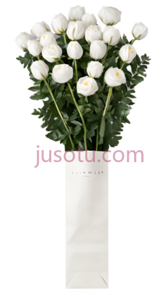 包装花, PNG