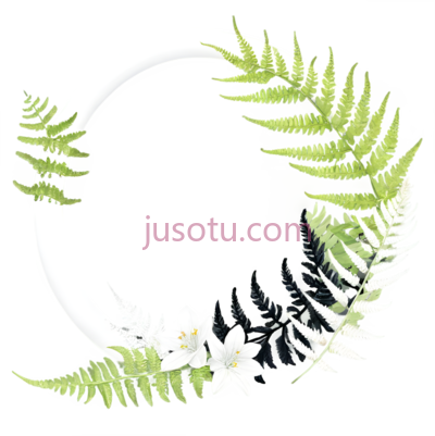 圆形花环,现代,白色,绿色, PNG