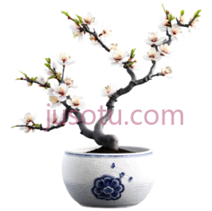 梅花,花盆,陶瓷PNG