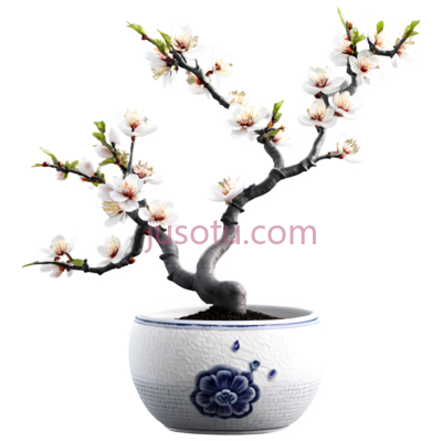 梅花,花盆,陶瓷, PNG