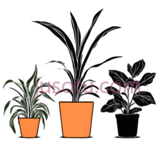 植物,花盆,线条画,填充色,橙色PNG