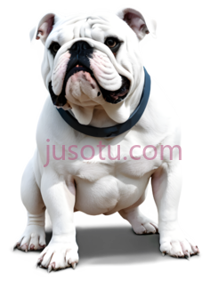 灰色斗牛犬PNG