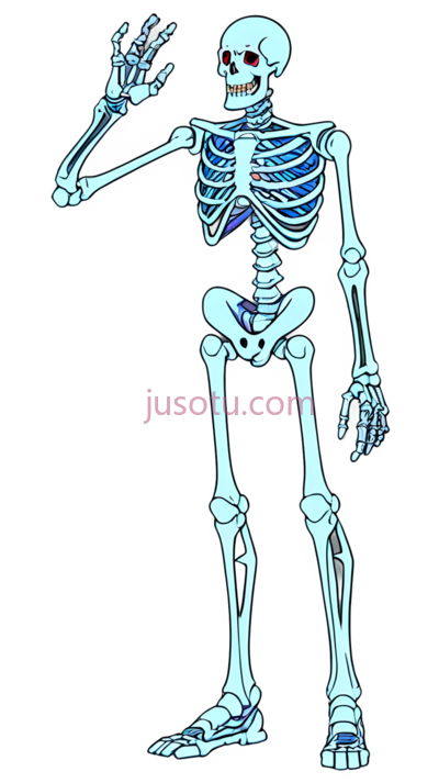 骨骼, PNG