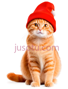 猫,戴圣诞帽,橙色PNG