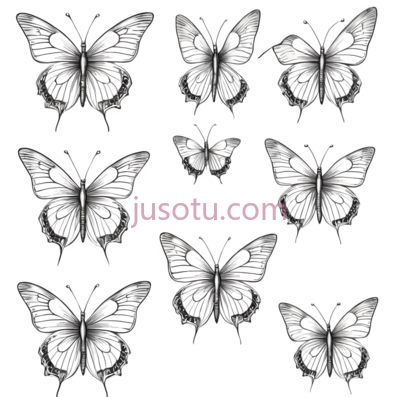 蝴蝶,线条,白色, PNG