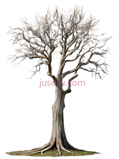 树,3D,灰白色, PNG