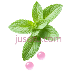 薄荷叶,自然,绿色PNG