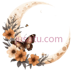 月亮,蝴蝶,花朵,插画,白色,黄色,棕色,灰色PNG