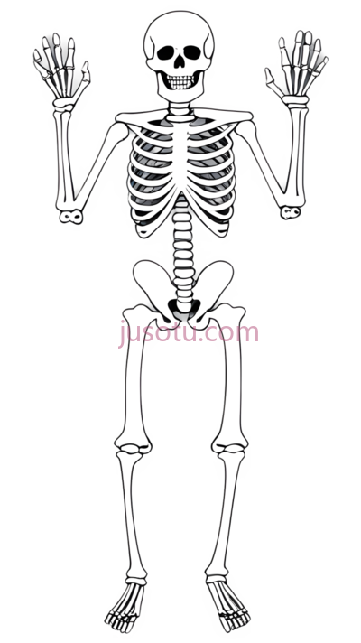 骨骼,手臂, PNG
