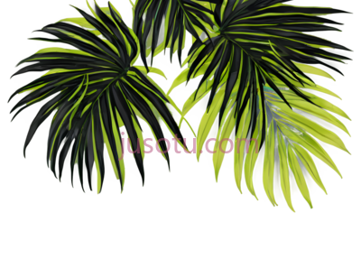 绿叶, PNG