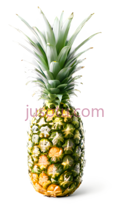 菠萝PNG