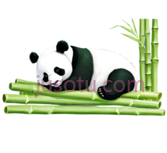 熊猫,卡通,黑白PNG