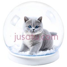 猫,雪球里的猫,灰色PNG