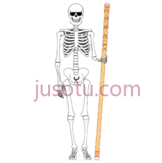 骨骼,太阳镜PNG