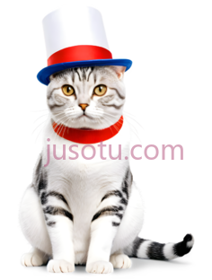 猫,戴礼帽,围巾,白色带灰色条纹PNG