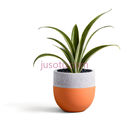 植物,现代,橙色,灰色, PNG